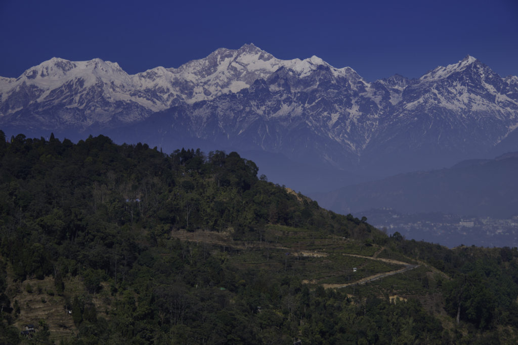 View of Kanchenjunga from Tinchuley