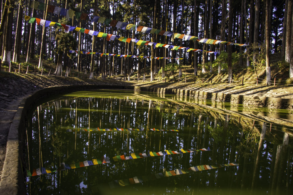 Sacred Lake at Lamahatta Eco Park.