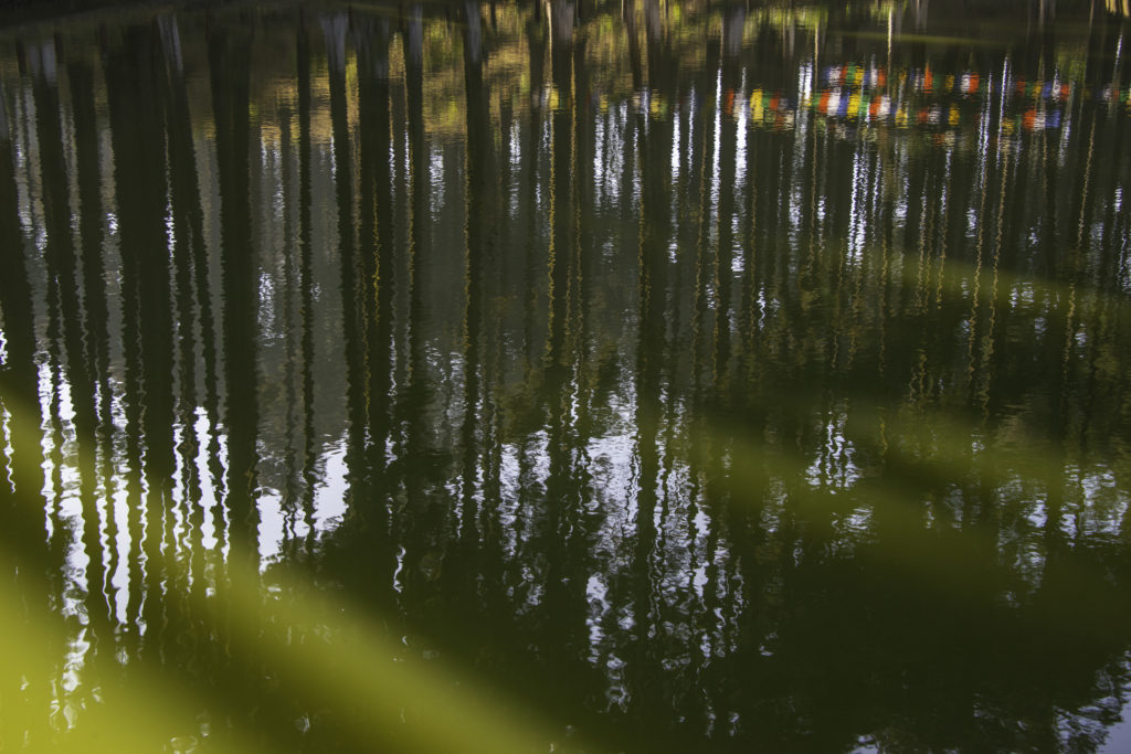 Sacred Lake at Lamahatta Eco Park.