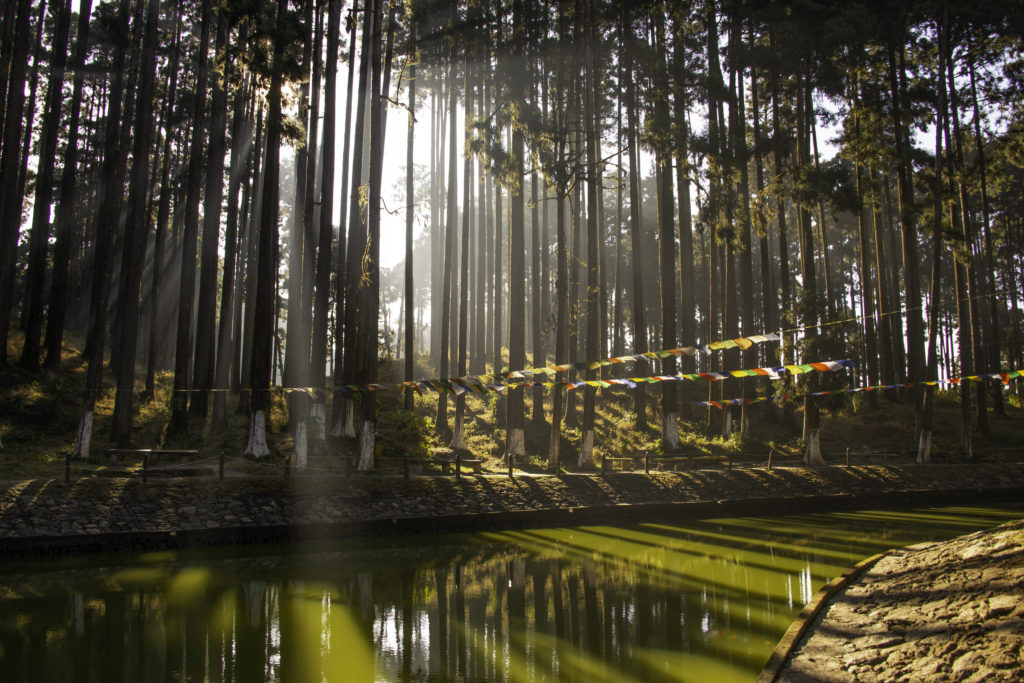 Sacred Lake at Lamahatta Eco Park. 