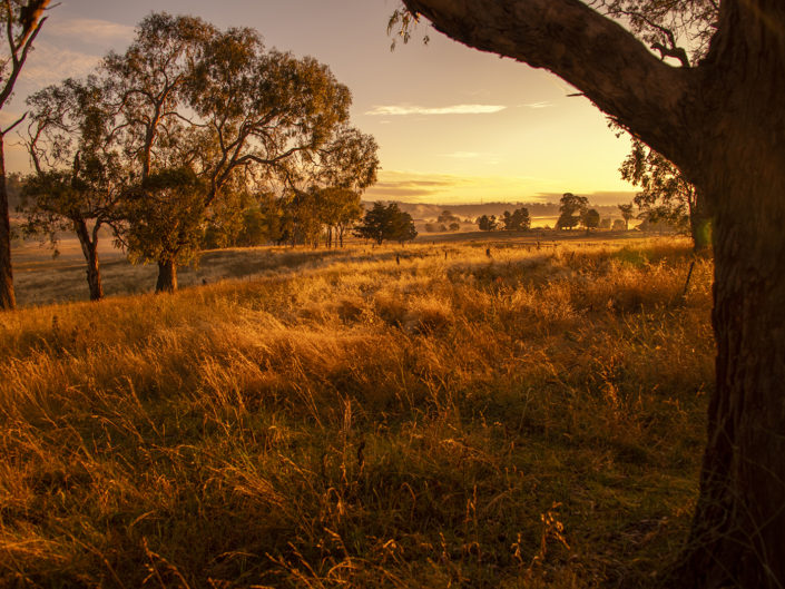 Armidale Country Side