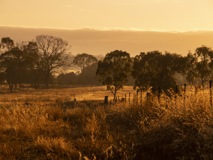 Armidale Country Side