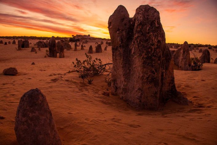Sunrise at Pinnacles Desert